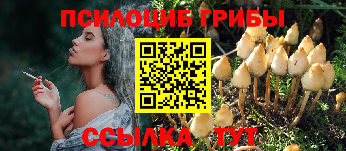 Псилоцибиновые грибы Psilocybe  Вход с VPN  Армавир  Галлюциногенные грибы MAGIC MUSHROOMS 